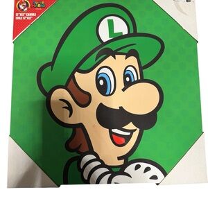Super Mario luigi canvas 12x12